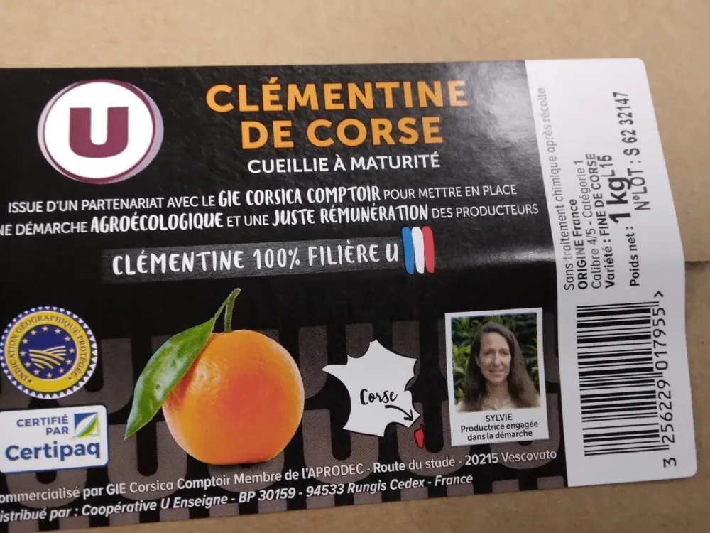 Clementine de corse