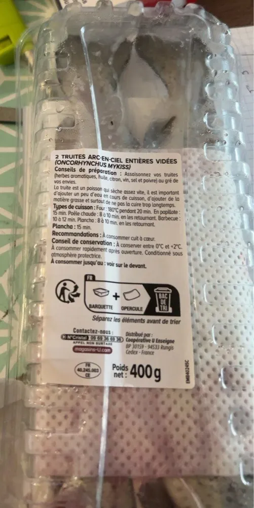 Truite portion,Oncorhynchus Mykiss, élevée en France, 2 pièces, brquette, 400g