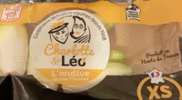 Endives jeunes pousses