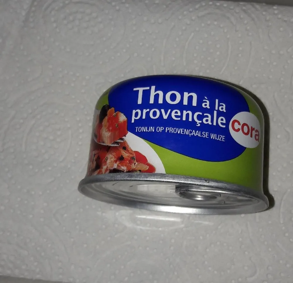 Thon à La Provenale