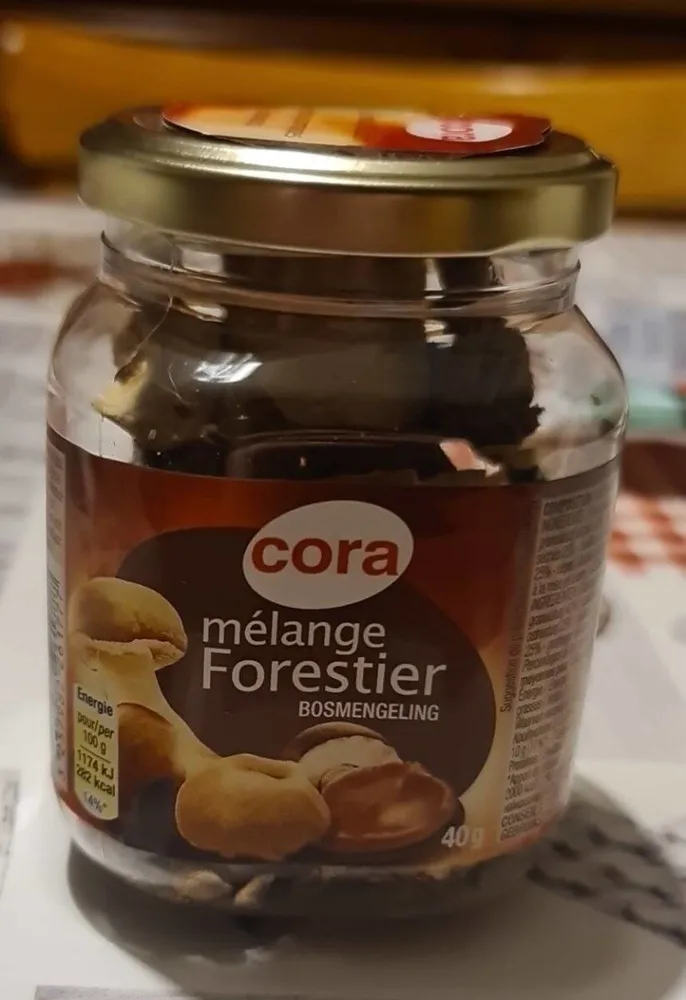Mélange forestier