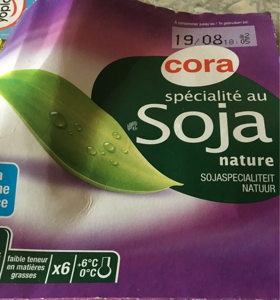 Yaourt nature soja