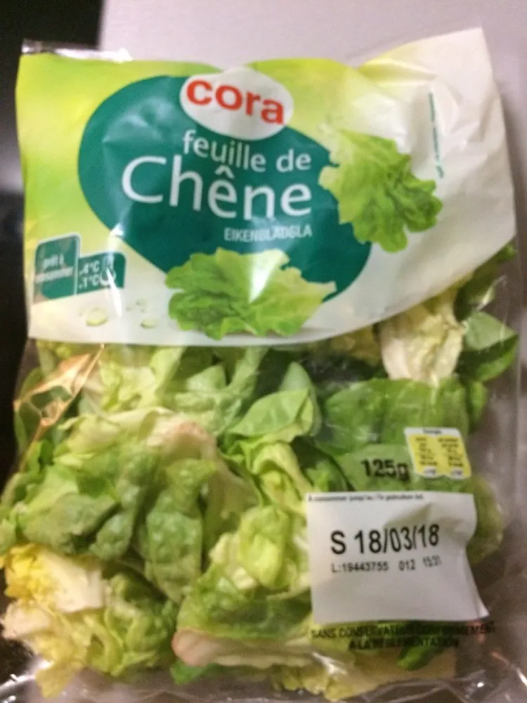 Feuille de Chêne