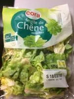 Feuille de Chêne