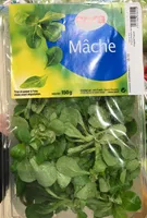 Mâche