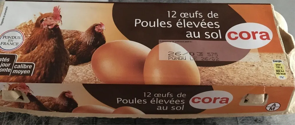 Oeufs de poules élevées au sol