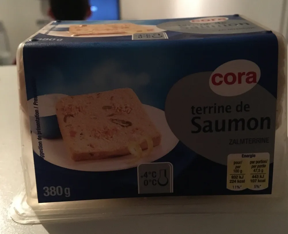 Terrine de saumon