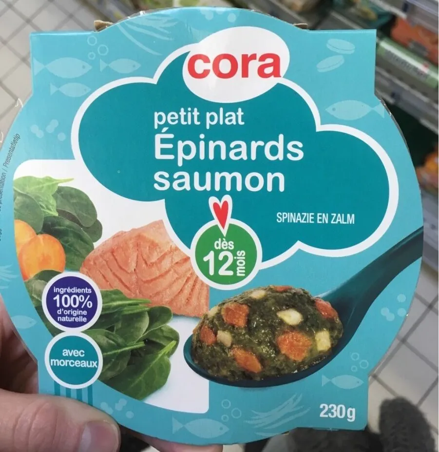 Petit plat epinard saumon