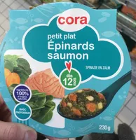 Petit plat epinard saumon