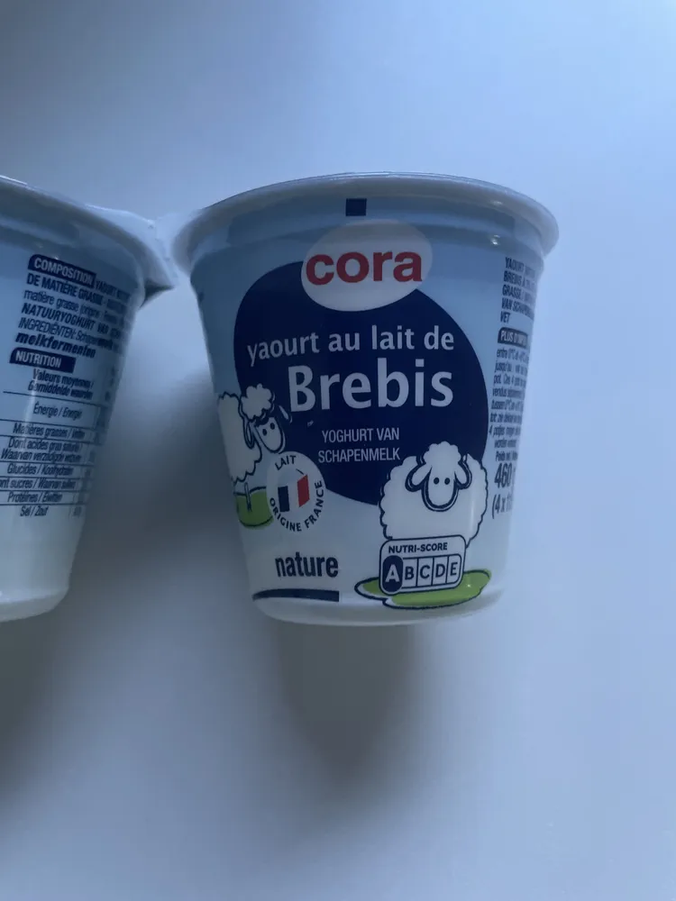 Yaourt nature au lait de brebis