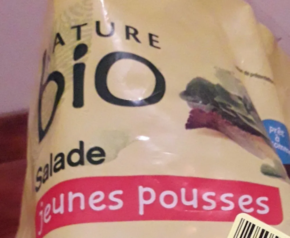 Salade jeunes pousses