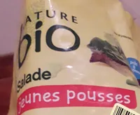 Salade jeunes pousses