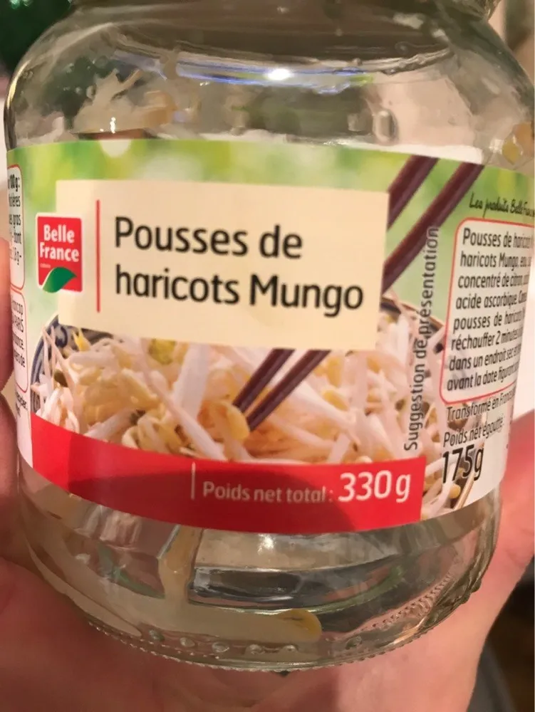 Pousse de haricots mungo