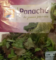 Panaché de jeunes pousses