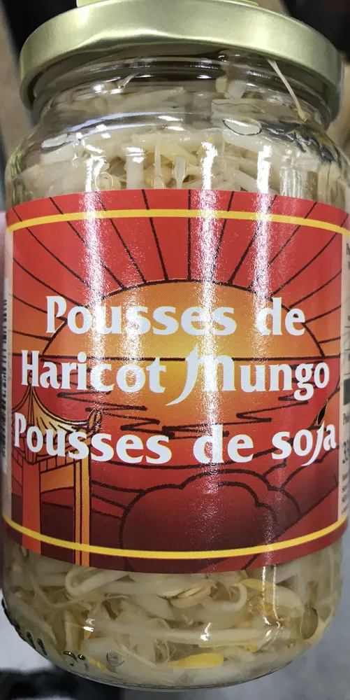 Pousses de Haricot Mungo