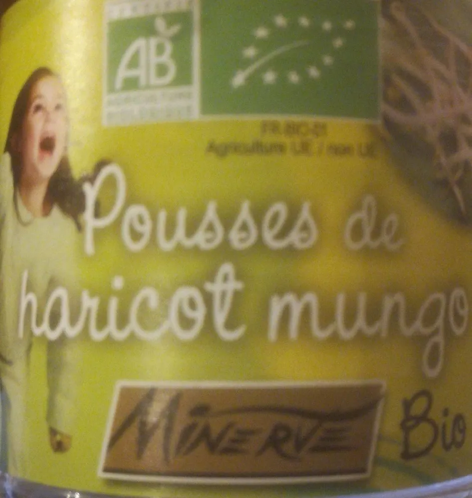 Pousse de haricot mungo