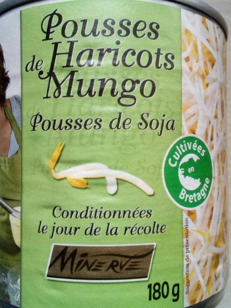 Pousses de Haricots Mungo