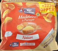 Madeleines