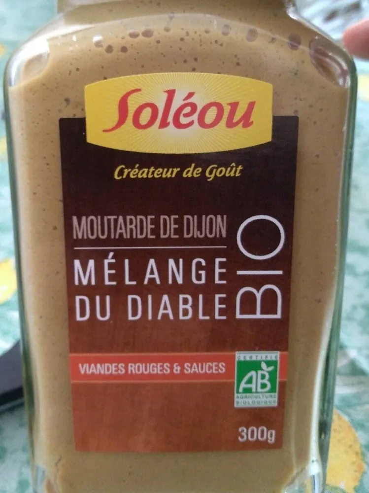 Moutarde de Dijon biologique aux épices mélange du diable