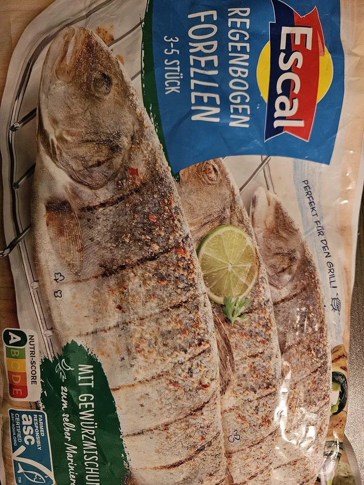 Regenbogenforellen