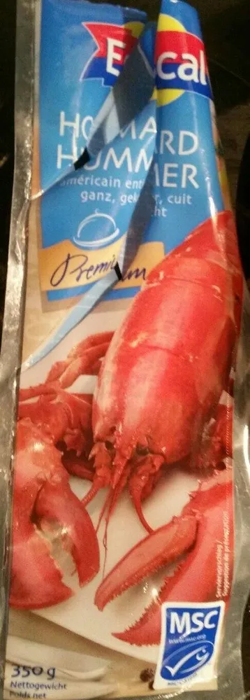 Homard américain entier