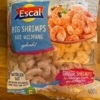 Big Shrimps
