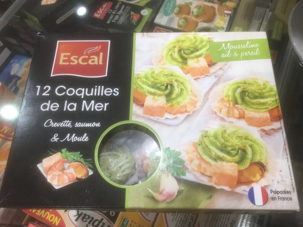 12 coquilles de mer