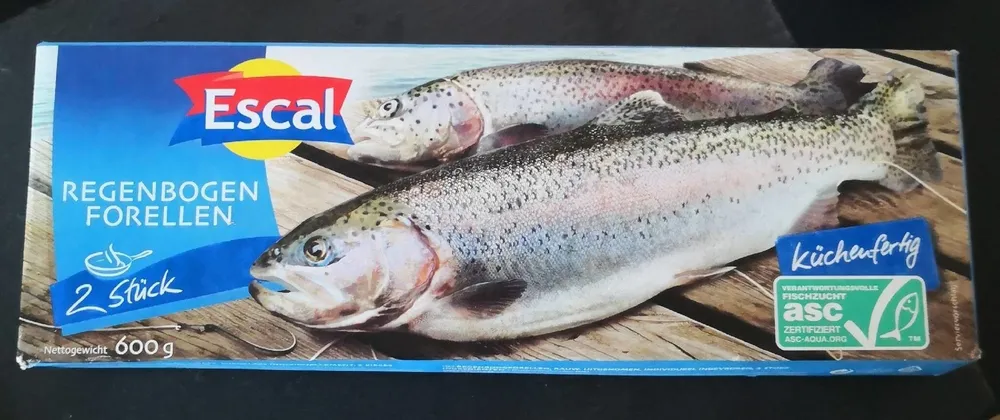 Regenbogen Forellen