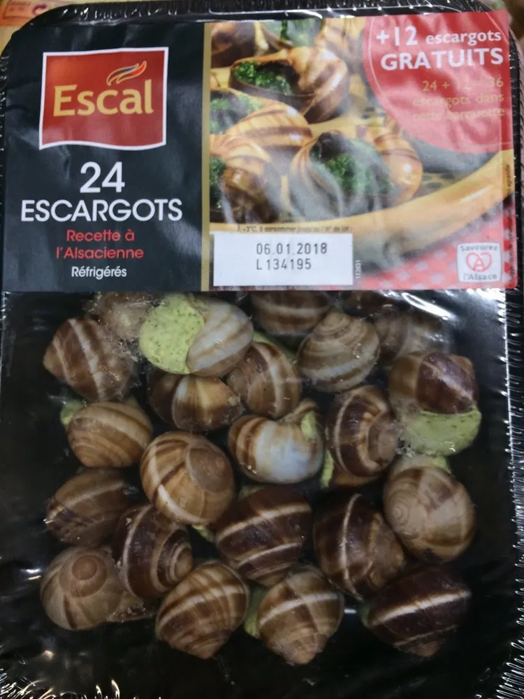 Escargot préparés