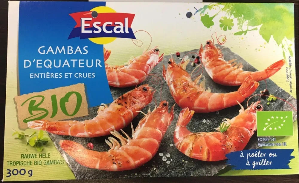 Gambas d'Equateur