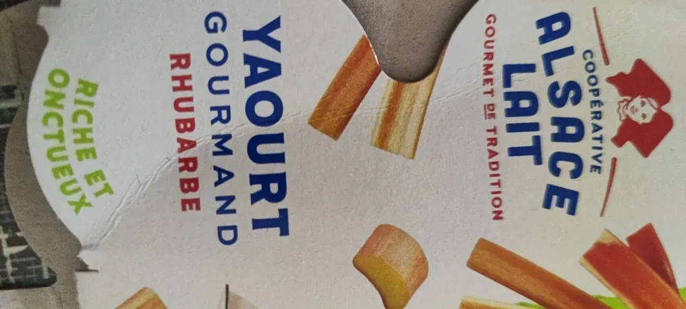Yaourt gourmand rhubarbe