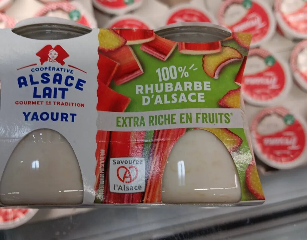 Yaourts rhubarbe