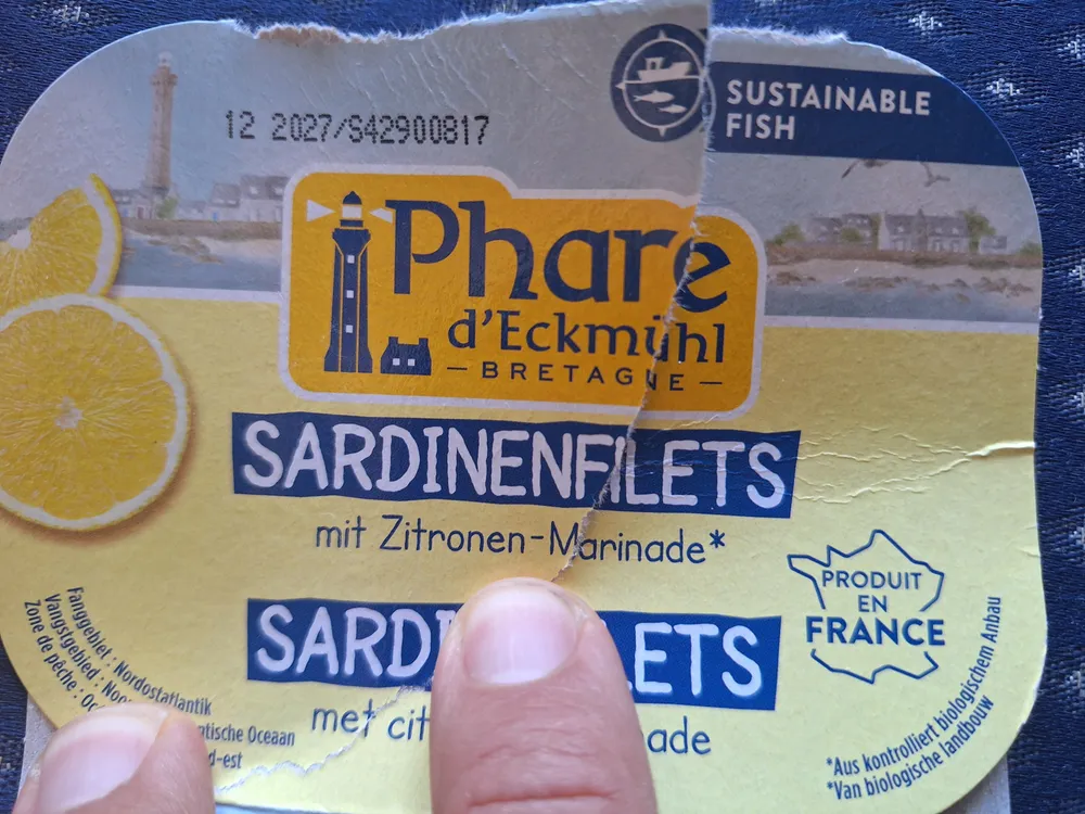 sardinenfilets