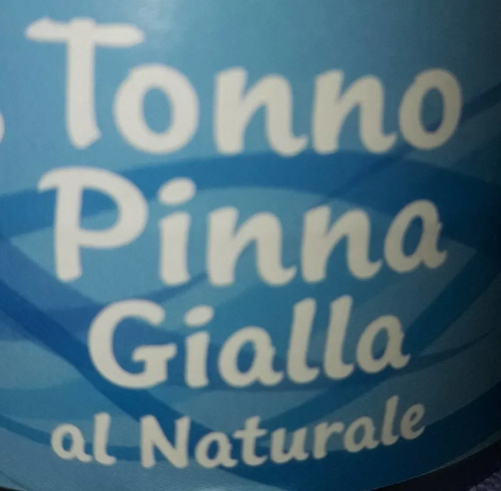 Tonno pinna gialla