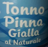 Tonno pinna gialla
