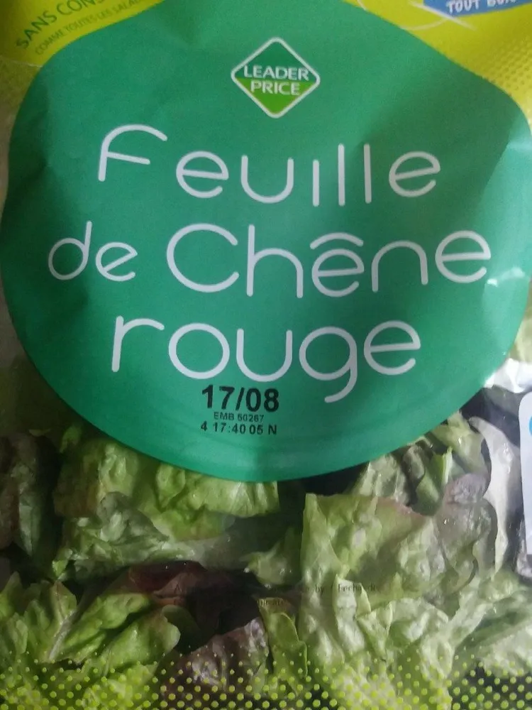 Feuille de chêne rouge