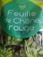 Feuille de chêne rouge