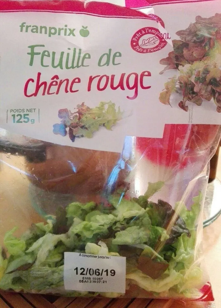 Feuille de chêne rouge