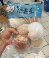 10 coquille saint jacques a la bretonne
