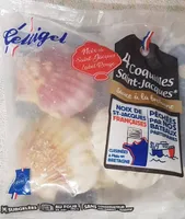 Coquilles Saint Jacques