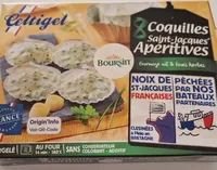 Coquille Saint Jacques