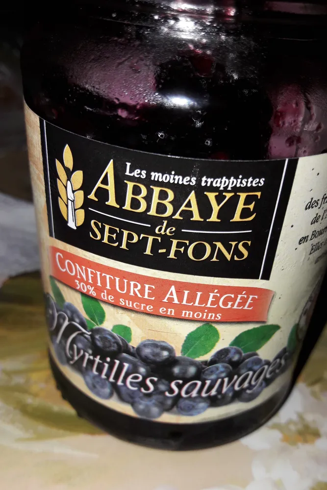 Myrtilles Sauvages