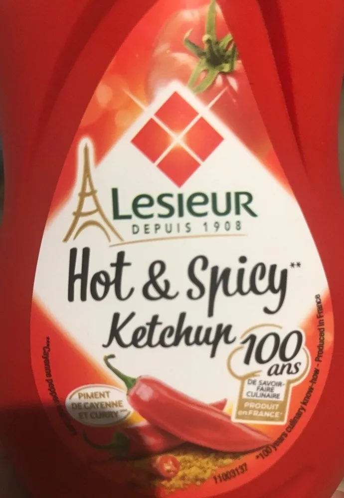 Hot & spicy Ketchup
