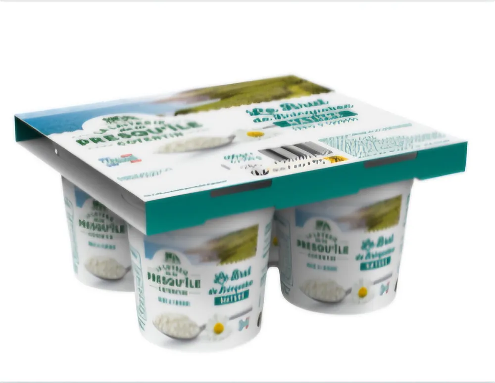 Le Brut de Bricquebec nature frais et fondant 4 x 100 g