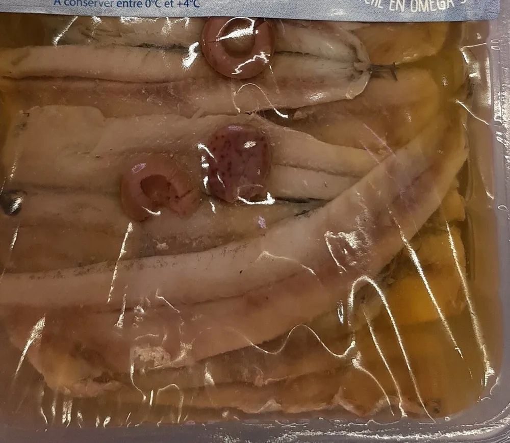 Filets anchois sauvages