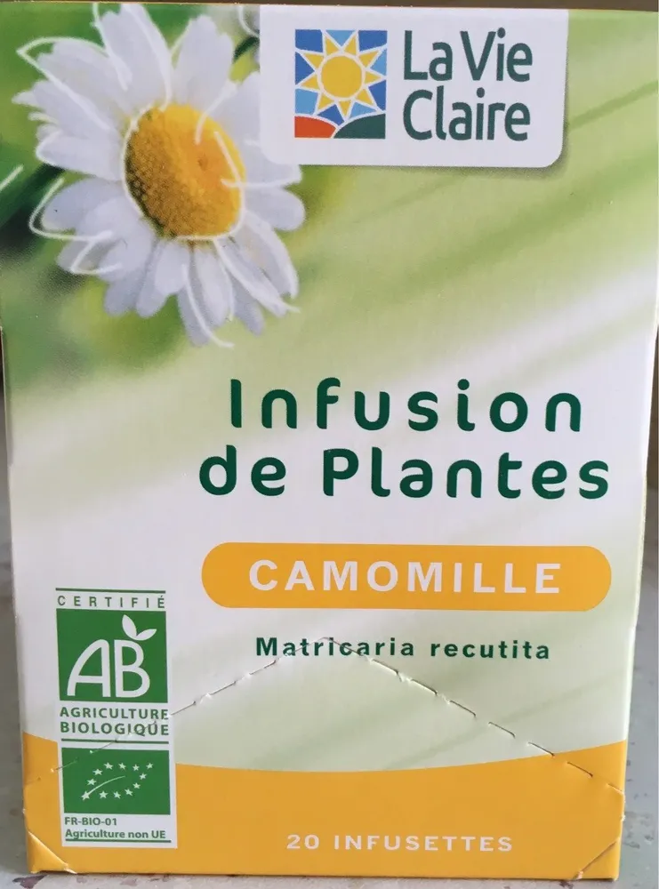 Infusion de plantes camomille
