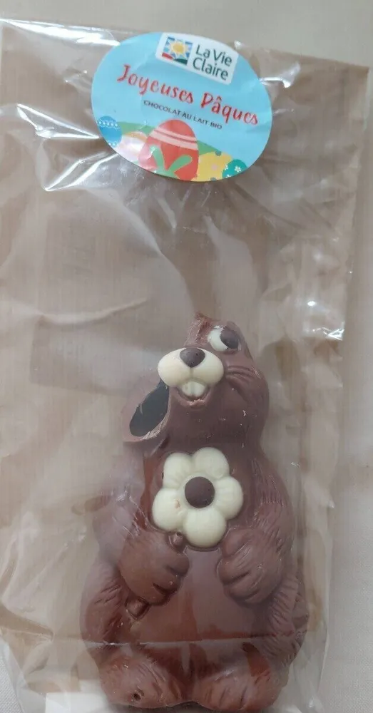 Lapin en chocolat