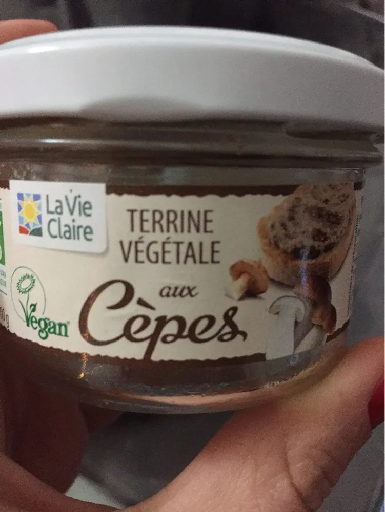 terrine vegetale aux cèpes