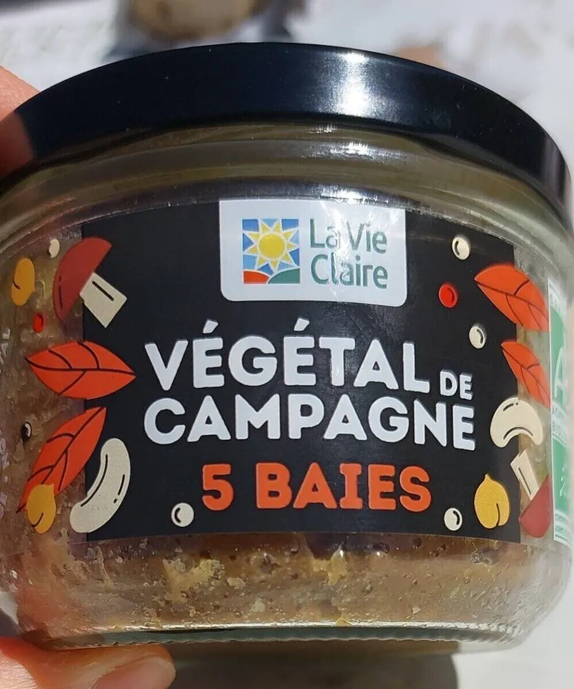 VÉGÉTAL DE CAMPAGNE 5 BAIES