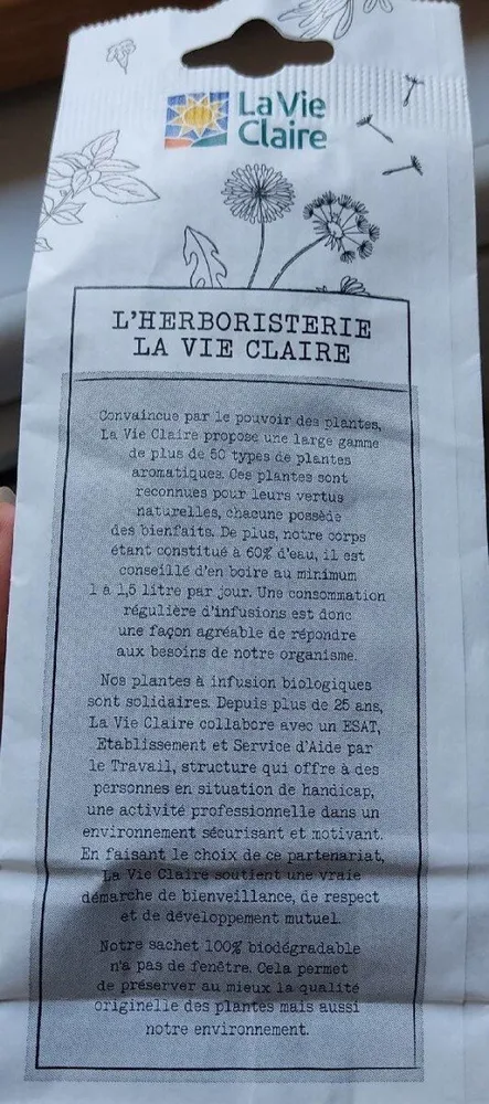 Menthe verte